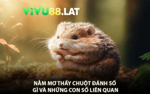 Nằm Mơ Thấy Chuột Đánh Số Gì Và Những Con Số Liên Quan